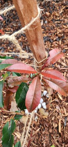 1000024324.jpg 1000024324.jpg