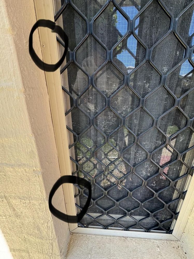 window2.jpeg window2.jpeg