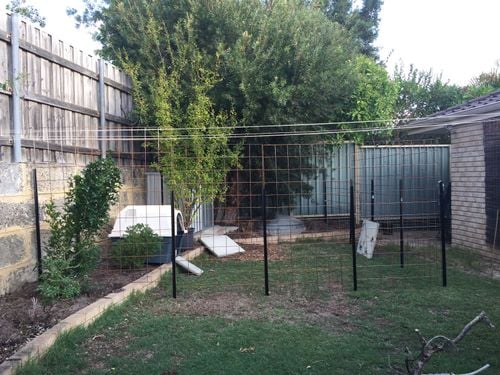 DA3D2D36-5870-4AB4-A478-D525DA1F7BF1.jpeg DA3D2D36-5870-4AB4-A478-D525DA1F7BF1.jpeg