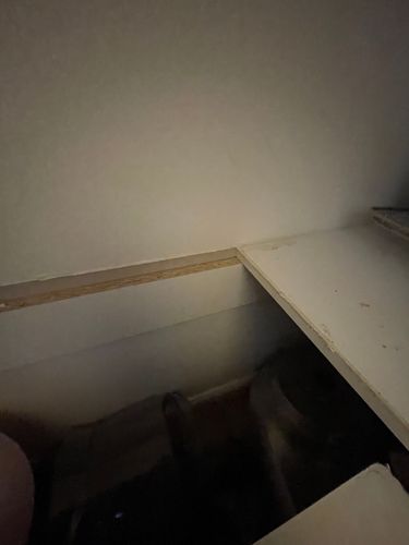 IMG_4159.jpeg IMG_4159.jpeg