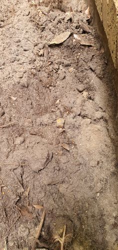 20240925_121802.jpg 20240925_121802.jpg