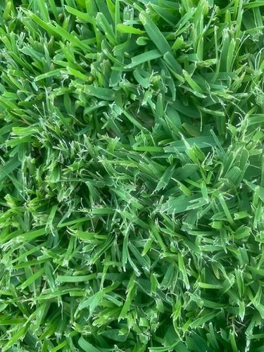 IMG_7928.jpg IMG_7928.jpg