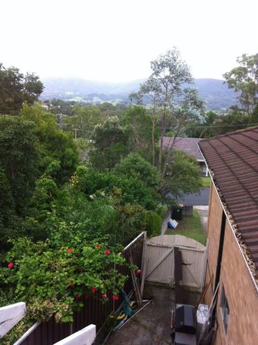 44 28-01-2014.jpg 44 28-01-2014.jpg