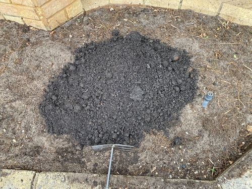 IMG_0750.jpeg IMG_0750.jpeg