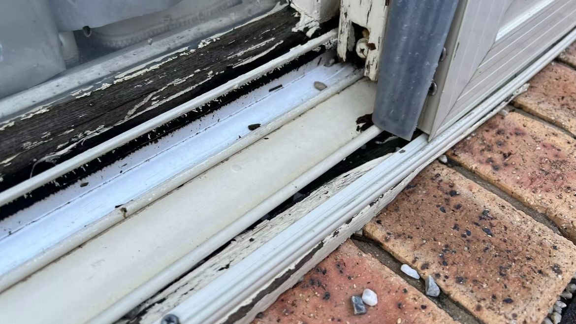 dfe77aea41ffeee8111fb4a0af5c2f5.jpg dfe77aea41ffeee8111fb4a0af5c2f5.jpg