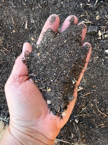 IMG_3283.jpeg IMG_3283.jpeg