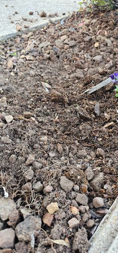 20250928_164557.jpg 20250928_164557.jpg