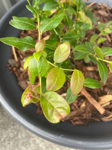 IMG_7899.jpeg IMG_7899.jpeg