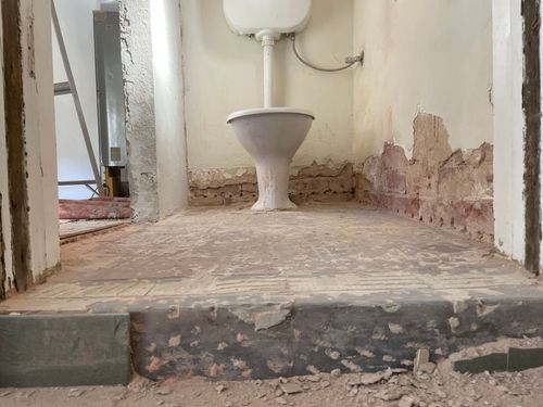 IMG_5492.jpeg IMG_5492.jpeg