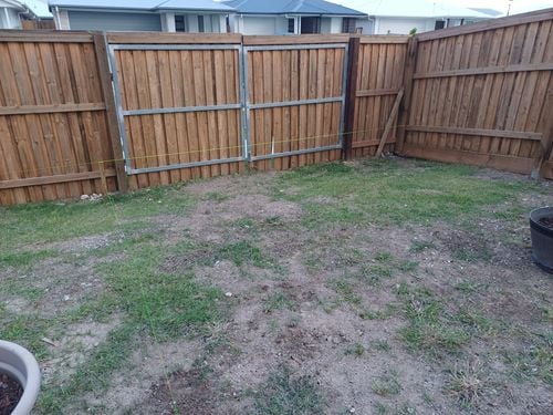 1000011479.jpg 1000011479.jpg