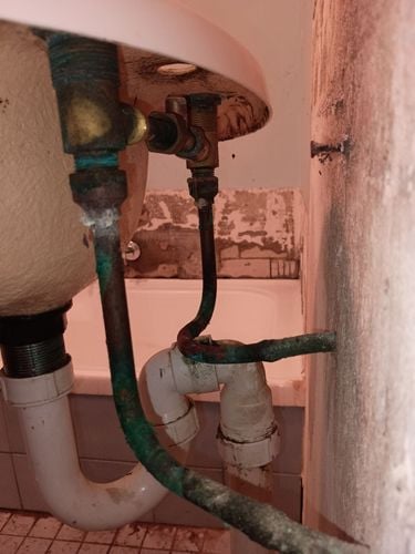 1000000484.jpg 1000000484.jpg