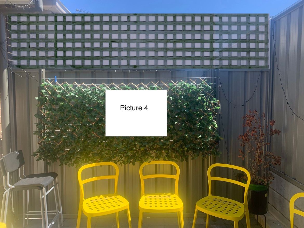 IMG_3107.jpeg IMG_3107.jpeg