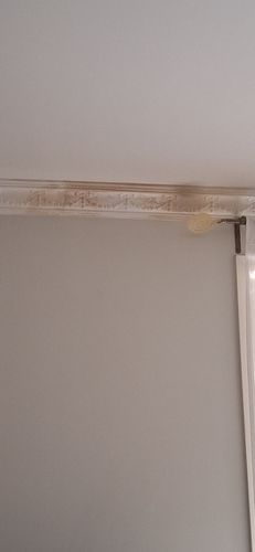 1000013654.jpg 1000013654.jpg