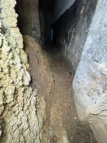 IMG_0902.jpeg IMG_0902.jpeg