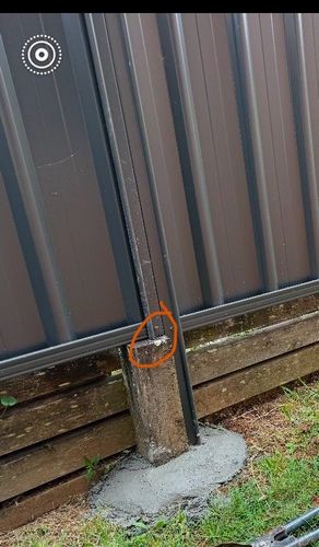 IMG_3547.jpeg IMG_3547.jpeg