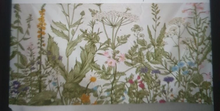 IMG_20240118_141647.jpg IMG_20240118_141647.jpg