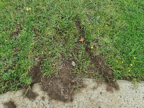 20251216_093555.jpg 20251216_093555.jpg