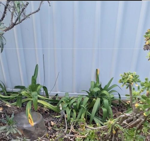 1000039343.jpg 1000039343.jpg