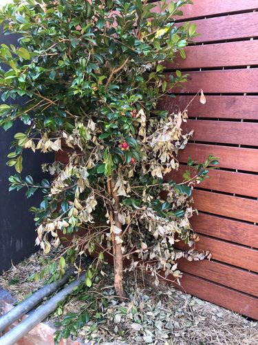 5F16E32D-E1D3-4D65-961F-4E9D6850654E.jpeg 5F16E32D-E1D3-4D65-961F-4E9D6850654E.jpeg