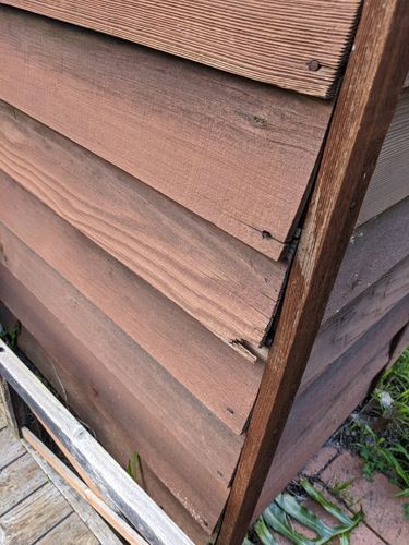 PXL_20230605_054701505.jpg PXL_20230605_054701505.jpg