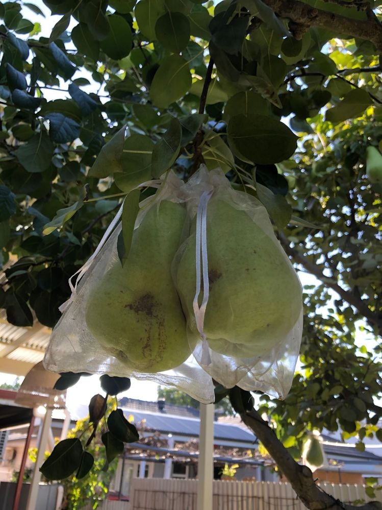 IMG_2141.jpg IMG_2141.jpg