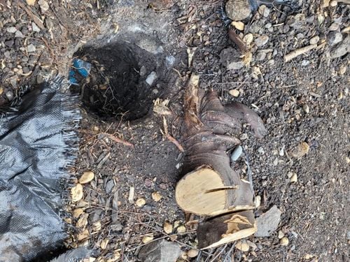 Post hall.jpg Post hall.jpg