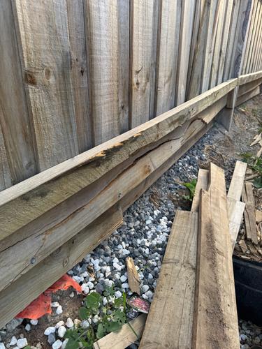 IMG_1508.jpeg IMG_1508.jpeg