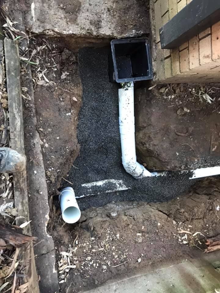 36 11-07-2021.jpg 36 11-07-2021.jpg