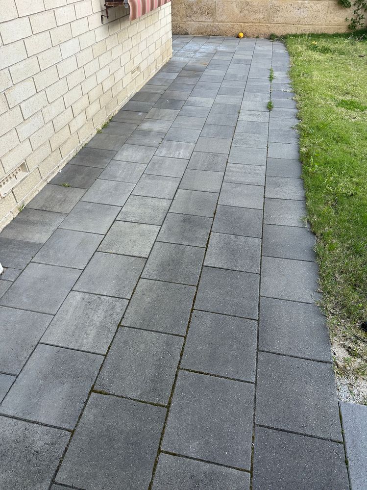 IMG_0046.JPG IMG_0046.JPG