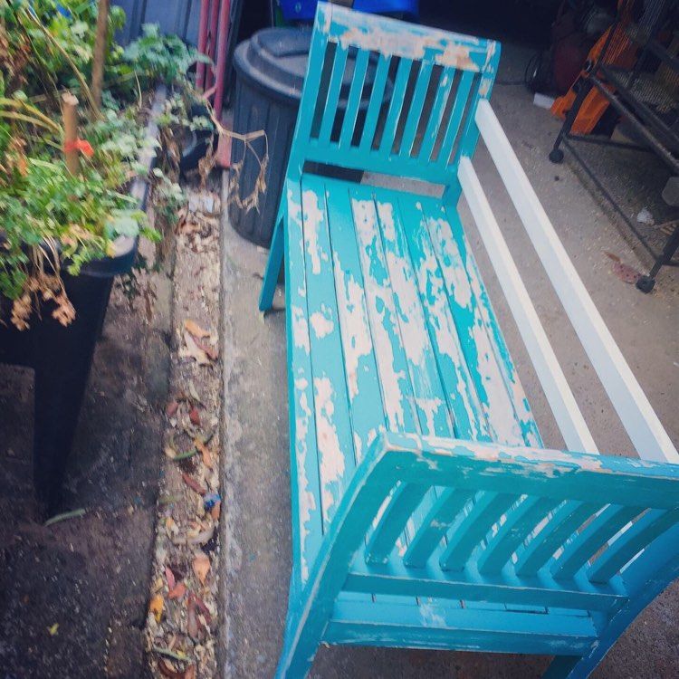 243716796_1688222464902484_4542491504567013969_n.jpg 243716796_1688222464902484_4542491504567013969_n.jpg