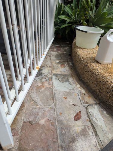 1000002530.jpg 1000002530.jpg