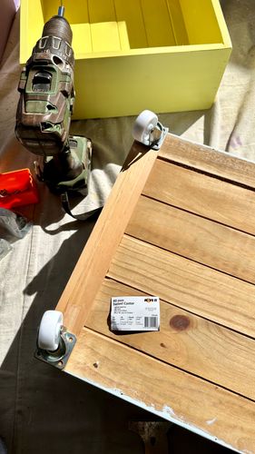 IMG_8742.jpeg IMG_8742.jpeg