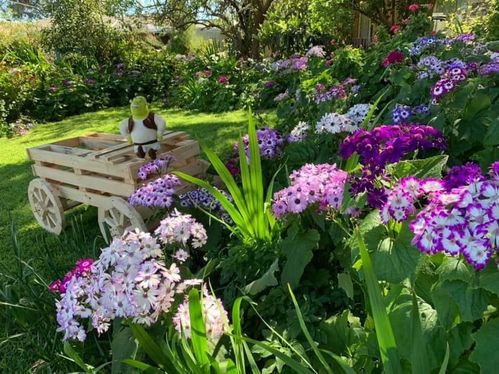 7EFACCCF-CBBE-4A98-9E59-B7C41574AA25.jpeg 7EFACCCF-CBBE-4A98-9E59-B7C41574AA25.jpeg