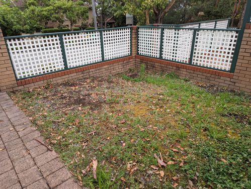 PXL_20231124_051450249.jpg PXL_20231124_051450249.jpg