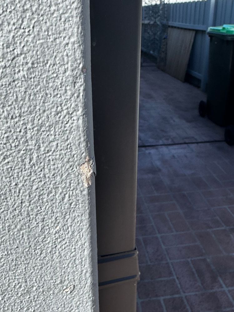 IMG_4131.jpg IMG_4131.jpg