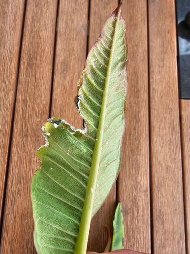 20231128_154600.jpg 20231128_154600.jpg