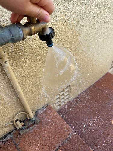 IMG_8108.jpeg IMG_8108.jpeg