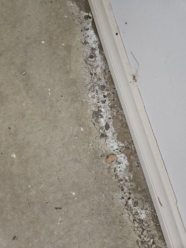 1000016110.jpg 1000016110.jpg