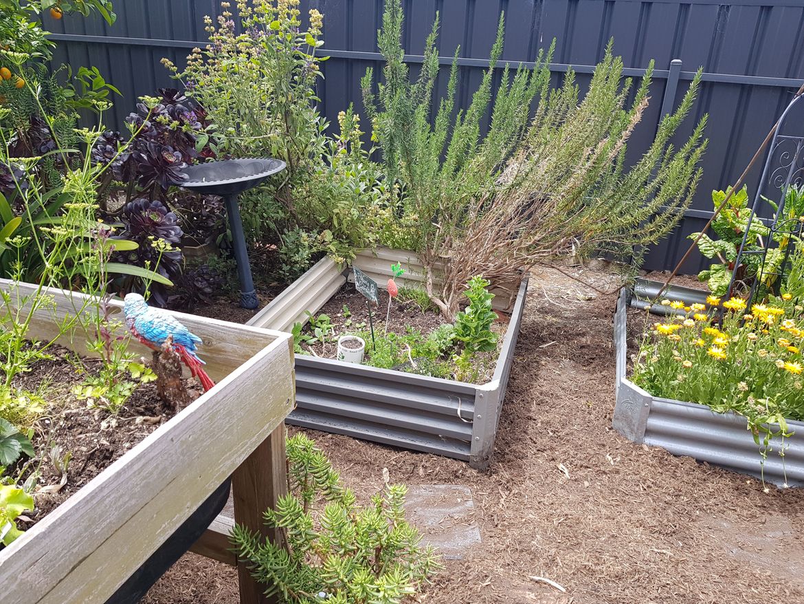 20231103_130718.jpg 20231103_130718.jpg