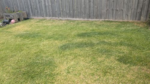 1000013571.jpg 1000013571.jpg