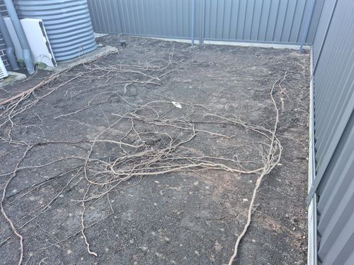 1000012896.jpg 1000012896.jpg