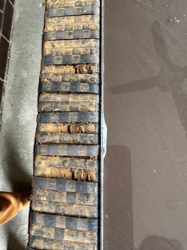 IMG_9931.jpeg IMG_9931.jpeg