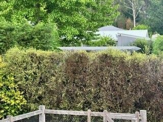 hedge 1.jpg hedge 1.jpg