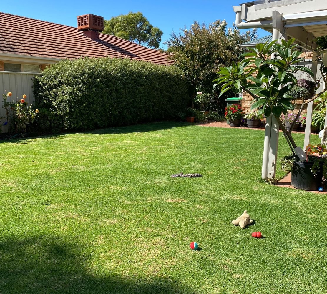 801BD06A-1CFB-4F0D-88BF-5D63BE17B737.jpeg 801BD06A-1CFB-4F0D-88BF-5D63BE17B737.jpeg