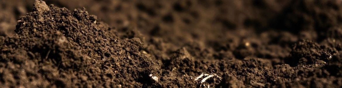 How to retain moisture in soil.jpg How to retain moisture in soil.jpg