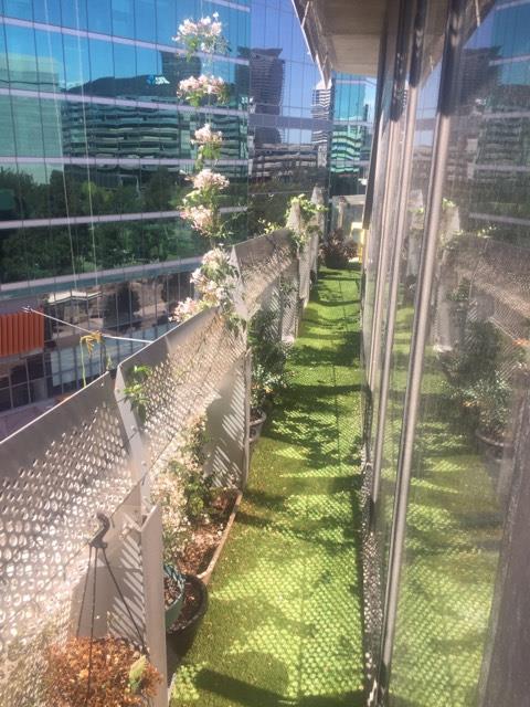 16707030_10154070787022434_33966866_n.jpg 16707030_10154070787022434_33966866_n.jpg