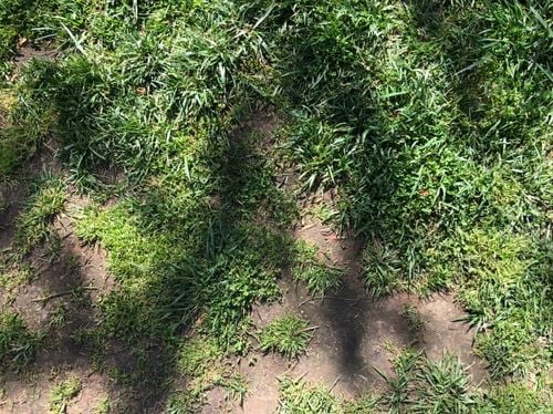 D526FCDE-4B28-4FF6-84ED-FF5155DDE01C.jpeg D526FCDE-4B28-4FF6-84ED-FF5155DDE01C.jpeg