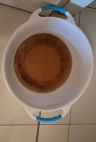 yellowish water.jpg yellowish water.jpg