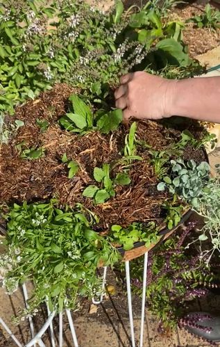 20CD9F78-22B9-4F4F-8719-5026488FC8F5.jpeg 20CD9F78-22B9-4F4F-8719-5026488FC8F5.jpeg