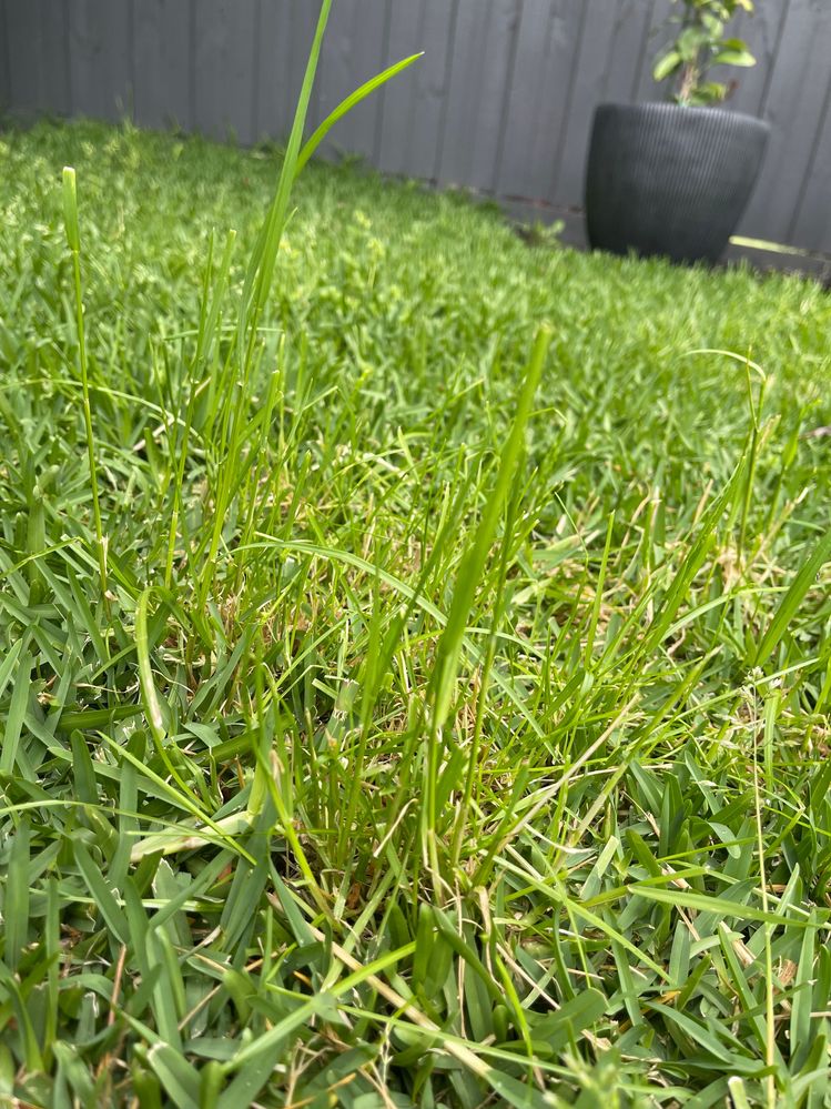 IMG_4058.jpeg IMG_4058.jpeg